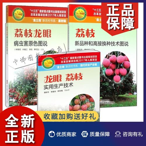 正版3册龙眼荔枝实用生产技术 荔枝新品种和高接换种技术图说 荔枝